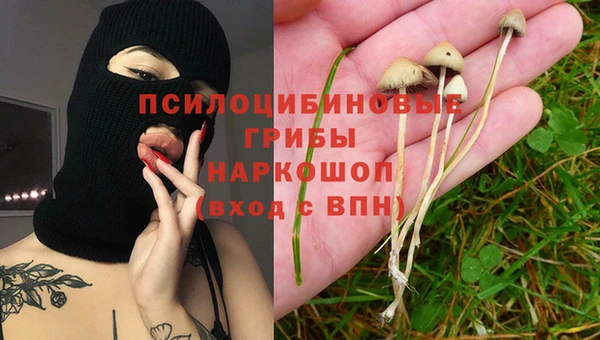 прущая мука Надым