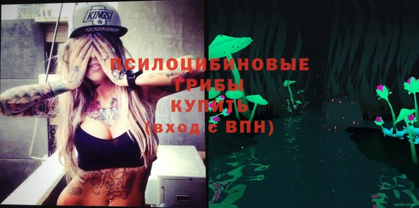 прущая мука Надым